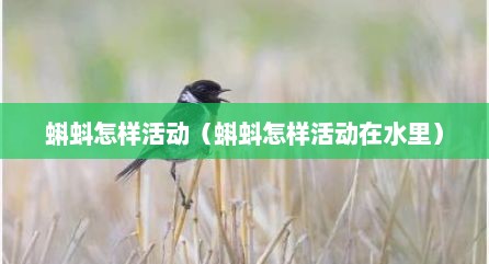 蝌蚪怎样活动（蝌蚪怎样活动在水里）