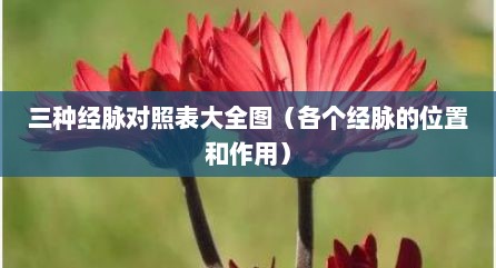 三种经脉对照表大全图（各个经脉的位置和作用）