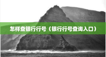 怎样查银行行号（银行行号查询入口）