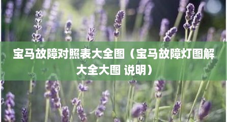宝马故障对照表大全图（宝马故障灯图解大全大图 说明）