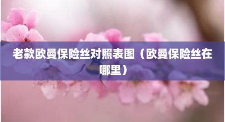 老款欧曼保险丝对照表图（欧曼保险丝在哪里）