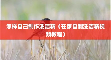 怎样自己制作洗洁精（在家自制洗洁精视频教程）