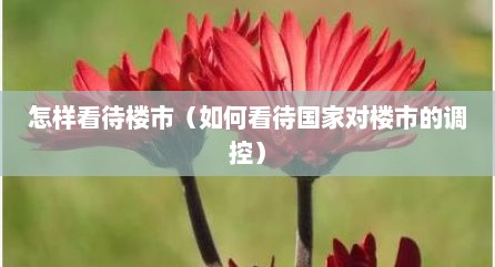 怎样看待楼市（如何看待国家对楼市的调控）