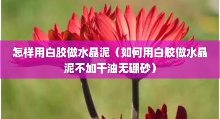 怎样用白胶做水晶泥（如何用白胶做水晶泥不加干油无硼砂）