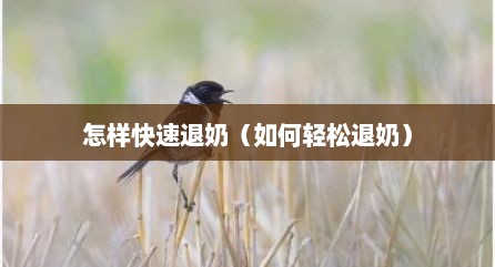 怎样快速退奶（如何轻松退奶）