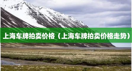 上海车牌拍卖价格（上海车牌拍卖价格走势）