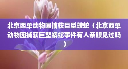 北京西单动物园捕获巨型蟒蛇（北京西单动物园捕获巨型蟒蛇事件有人亲眼见过吗）