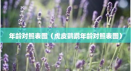 年龄对照表图（虎皮鹦鹉年龄对照表图）