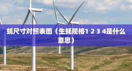蚝尺寸对照表图（生蚝规格1 2 3 4是什么意思）