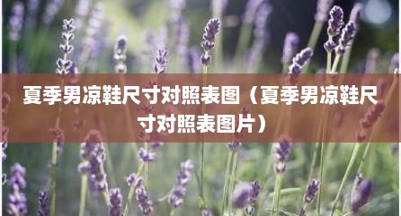 夏季男凉鞋尺寸对照表图（夏季男凉鞋尺寸对照表图片）
