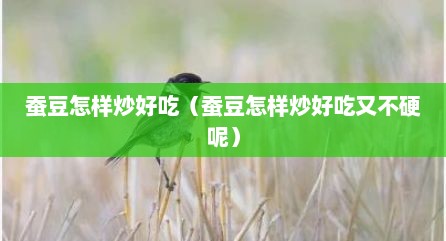 蚕豆怎样炒好吃（蚕豆怎样炒好吃又不硬呢）