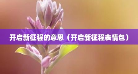 开启新征程的意思（开启新征程表情包）
