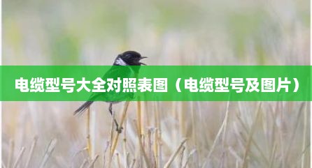 电缆型号大全对照表图（电缆型号及图片）