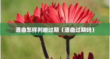 酒曲怎样判断过期（酒曲过期吗）