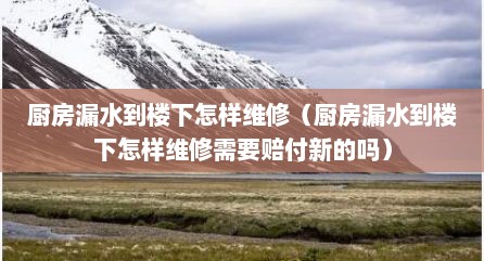 厨房漏水到楼下怎样维修（厨房漏水到楼下怎样维修需要赔付新的吗）