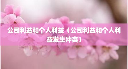 公司利益和个人利益（公司利益和个人利益发生冲突）