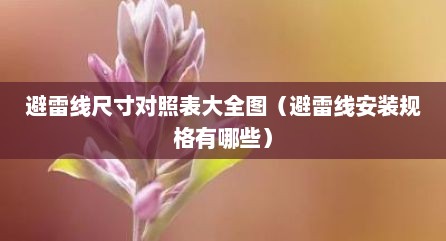 避雷线尺寸对照表大全图（避雷线安装规格有哪些）