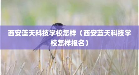 西安蓝天科技学校怎样（西安蓝天科技学校怎样报名）