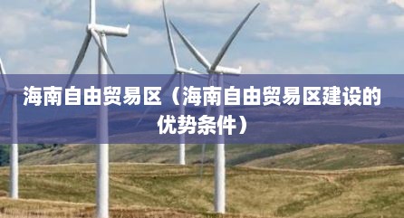 海南自由贸易区（海南自由贸易区建设的优势条件）