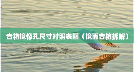 音箱镜像孔尺寸对照表图（镜面音箱拆解）