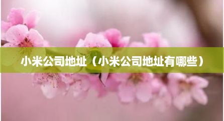 小米公司地址（小米公司地址有哪些）