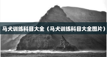 马犬训练科目大全（马犬训练科目大全图片）