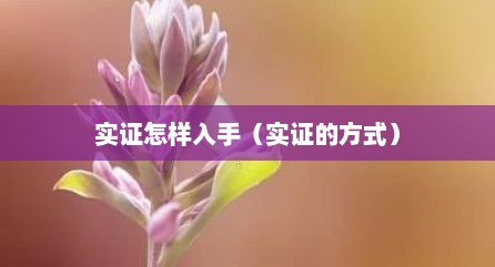 实证怎样入手（实证的方式）