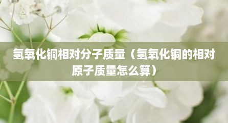 氢氧化铜相对分子质量（氢氧化铜的相对原子质量怎么算）