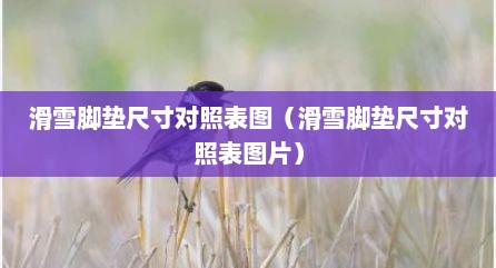 滑雪脚垫尺寸对照表图（滑雪脚垫尺寸对照表图片）
