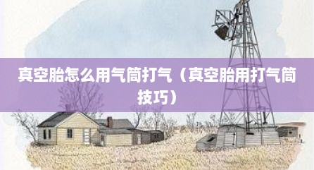 真空胎怎么用气筒打气（真空胎用打气筒技巧）