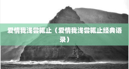 爱情我浅尝辄止（爱情我浅尝辄止经典语录）