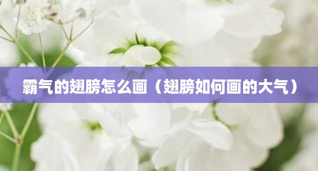 霸气的翅膀怎么画（翅膀如何画的大气）