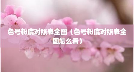 色号粉底对照表全图（色号粉底对照表全图怎么看）
