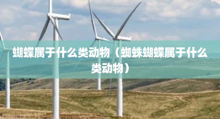 蝴蝶属于什么类动物（蜘蛛蝴蝶属于什么类动物）