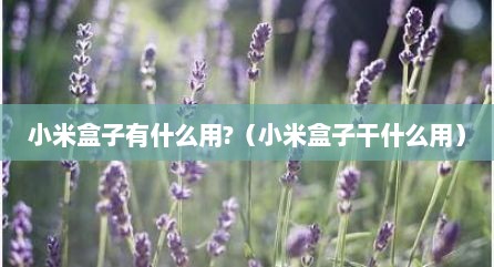 小米盒子有什么用?（小米盒子干什么用）