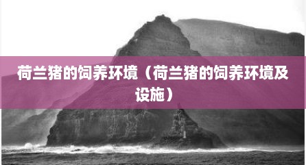 荷兰猪的饲养环境（荷兰猪的饲养环境及设施）