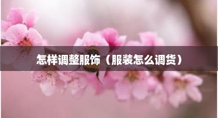 怎样调整服饰（服装怎么调货）