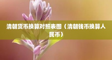 清朝货币换算对照表图（清朝钱币换算人民币）