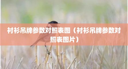 衬衫吊牌参数对照表图（衬衫吊牌参数对照表图片）