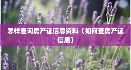 怎样查询房产证信息资料（如何查房产证信息）