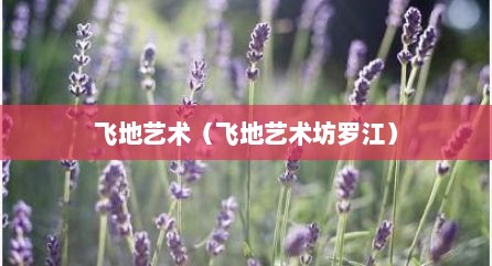 飞地艺术（飞地艺术坊罗江）