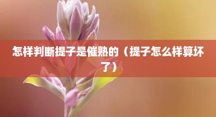 怎样判断提子是催熟的（提子怎么样算坏了）