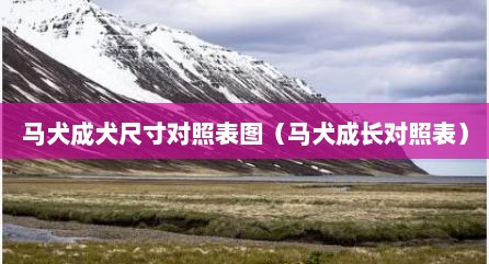 马犬成犬尺寸对照表图（马犬成长对照表）