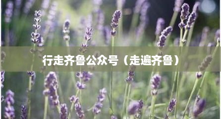 行走齐鲁公众号（走遍齐鲁）