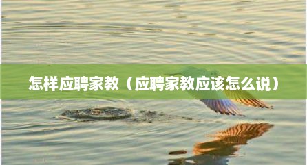 怎样应聘家教（应聘家教应该怎么说）