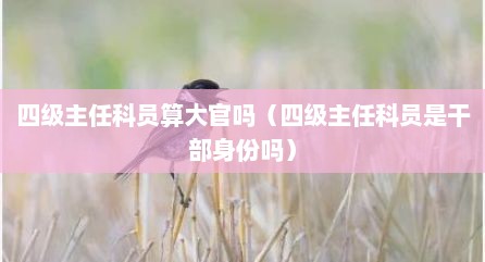 四级主任科员算大官吗（四级主任科员是干部身份吗）