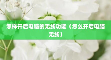 怎样开启电脑的无线功能（怎么开启电脑无线）