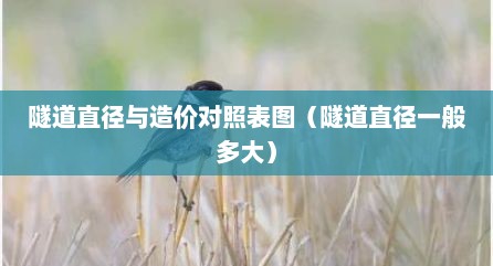 隧道直径与造价对照表图（隧道直径一般多大）