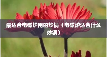 最适合电磁炉用的炒锅（电磁炉适合什么炒锅）