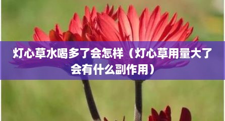 灯心草水喝多了会怎样（灯心草用量大了会有什么副作用）